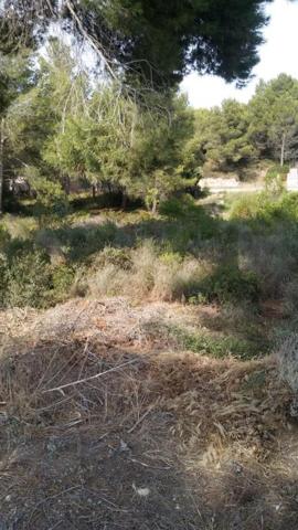 Suelo urbano - Cabra del Camp photo 0
