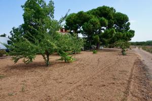 Suelo residencial - Constanti photo 0