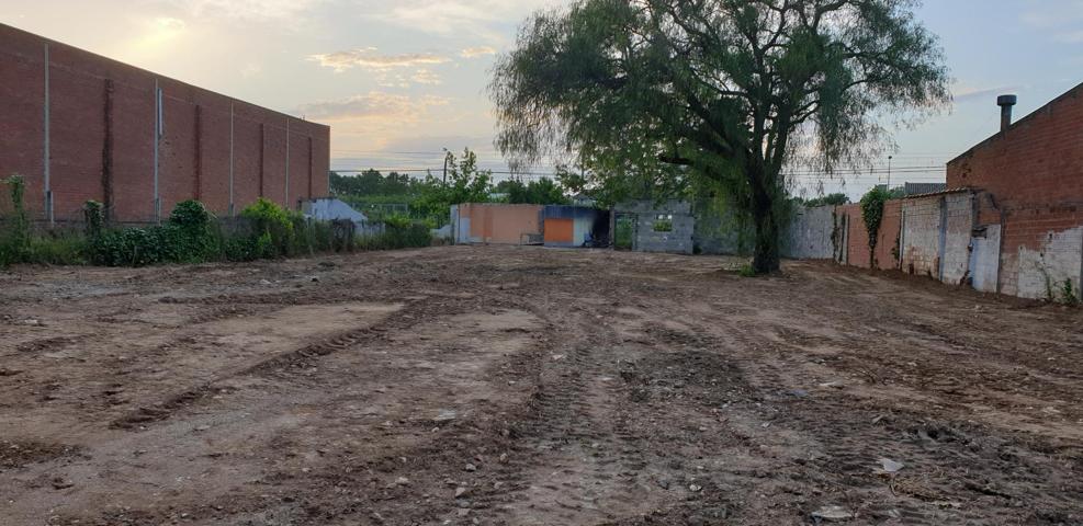 Terciario - Figueres photo 0