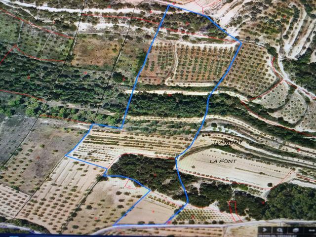 Suelo rústico - Vilalba dels Arcs photo 0