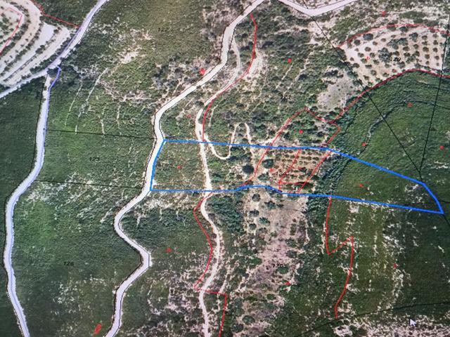 Suelo rústico - Vilalba dels Arcs photo 0