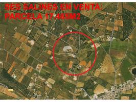 Parcela rústica en venta en Ses Salines photo 0