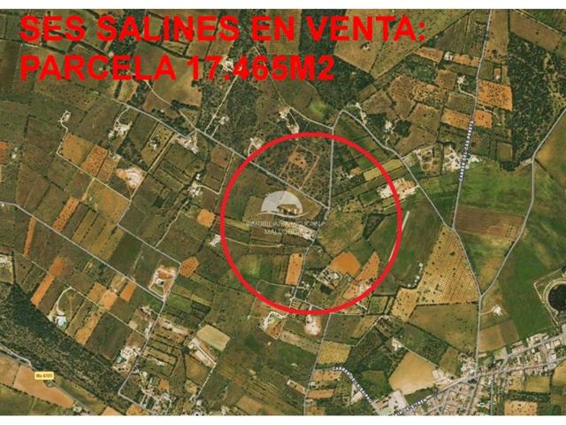 Parcela rústica en venta en Ses Salines photo 0