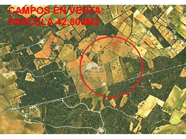 Terreno rústico en venta entre Cas Concos y Campos photo 0