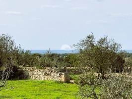 Terreno rustico en venta en Ses Salines photo 0