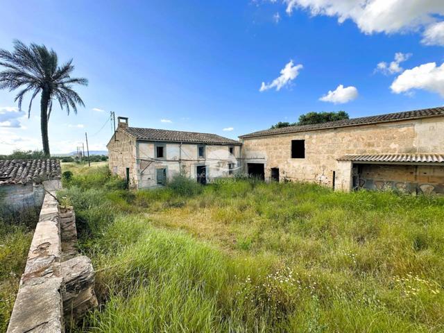 Finca rustica en venta en Campos photo 0