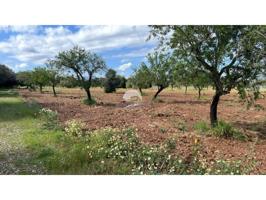 Terreno con licencia de obras en venta en Campos photo 0