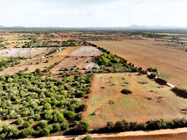 Venta de finca rústica en Campos photo 0