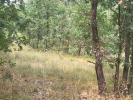 Terreno Urbanizable En venta en Paseo Del Rincon, 42, Navaluenga photo 0