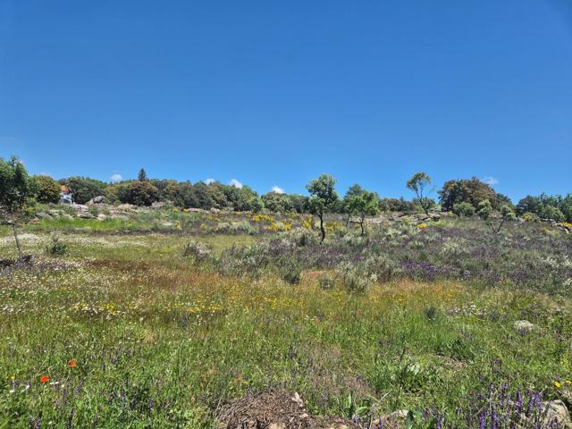 Terreno Urbanizable En venta en Calle Manzanos, 2, Burgohondo photo 0