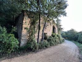 Masia en ruinas en Santa Susanna photo 0