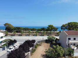 Parcel.les en venda a Pineda de Mar photo 0