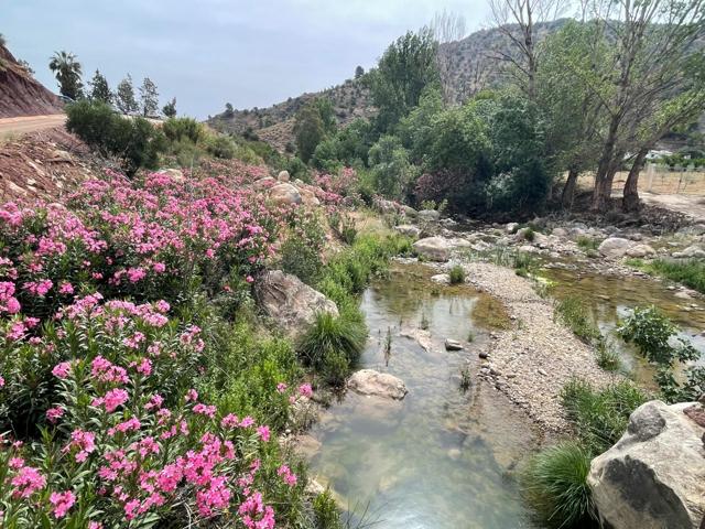 MARAVILLOSO CORTIJO EN ARDALES photo 0