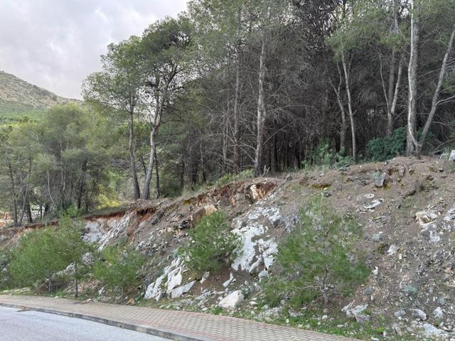 Parcela a la venta en Pinos de Alhurín photo 0