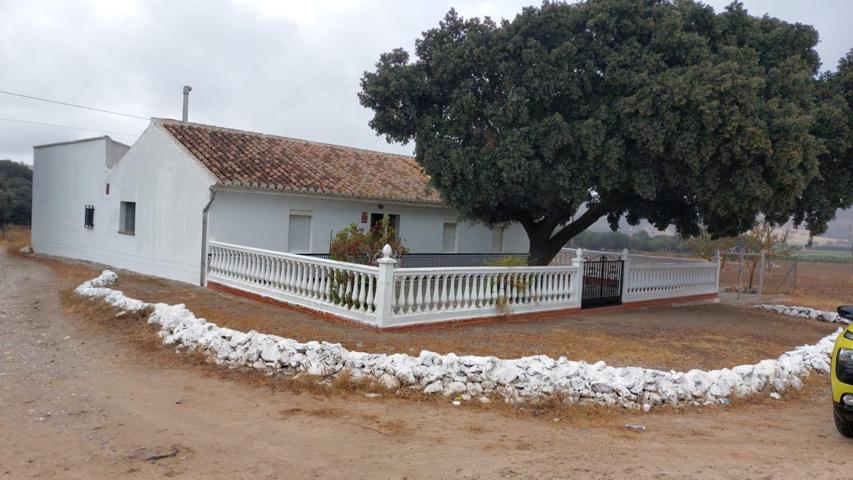 Finca a la venta con gran terreno photo 0