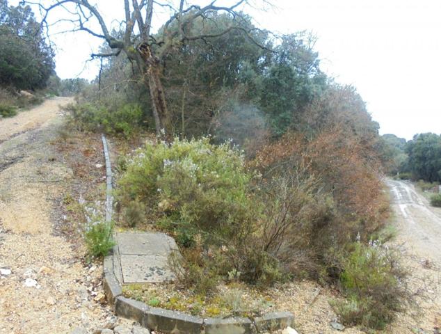 PARCELA DE 600 M2 EN FUENTENOVILLA photo 0