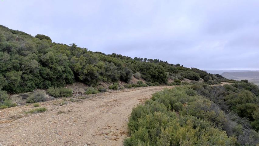 TERRENO RURAL EN DEHESA DE LOS HUEROS photo 0