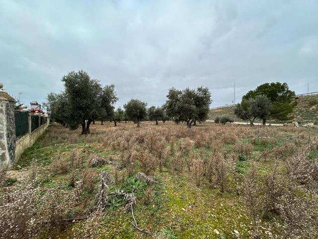 TERRENO RUSTICO EN PERALES DE TAJUÑA. photo 0