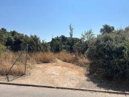 PARCELA EN EL BOSQUE DE HENARES PIOZ photo 0
