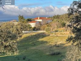 VENTA DE FINCA CON CORTIJO Y TINAO EN LA HABA, FINCA LAS LICENCIAS photo 0