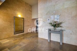 Piso - Piso - Costillares photo 0