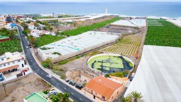 En Punta de Hidalgo: Finca Agrícola con Potencial de Desarrollo photo 0
