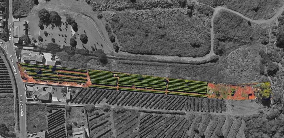 Terreno urbano en Tacoronte. photo 0