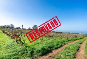 SUELO AGRÍCOLA CON OPCIÓN A CUARTO APERO photo 0