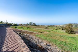 PARCELA AGRÍCOLA EN TACORONTE photo 0