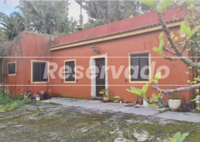 ¡UNA JOYA ESCONDIDA TE ESPERA EN TACORONTE! photo 0