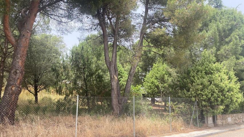 Terreno Urbanizable En venta en Camino De Navacerrada, 11, Collado Mediano photo 0