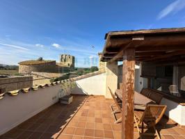 EN ALQUILER DE SEGUNDA RESIDENCIA, ACOGEDORA CASA CON TERRAZA EN EL CENTRO DEL PUEBLO DE PALAU-SATOR photo 0