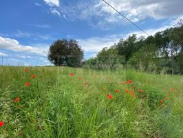 En venta propiedad rural en La Pera - Baix Empordà: Antiguo molino de dos plantas por reformar con terreno de 27.844 m² photo 0