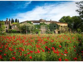 Acogedora casa rústica reformada en Viladasens con jardín, chimenea y pajar anexo, rodeada de naturaleza photo 0