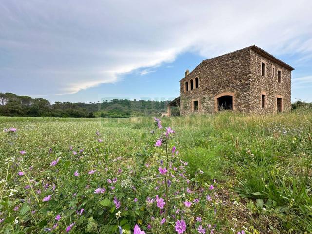 Masía de piedra en venta en Sant Sadurní de l’Heura – 250 m² construidos con 4 hectáreas de terreno llano photo 0