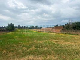 Parcela urbana y rústica en venta en el Baix Empordà – Zona rural cerca de Foixà photo 0