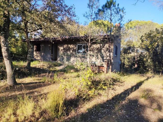 Terreno rústico en alquiler en Cruïlles con barraca (sin cédula de habitabilidad) y bosque de 2.900 m² photo 0
