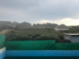 Casa de campo en venta en El Padrón-El Velerín-Voladilla photo 0