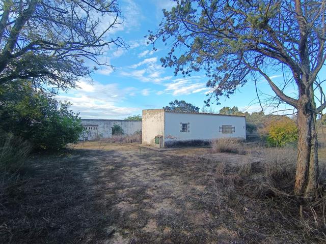 CASA DE CAMPO CON CONTADOR LUZ, AGUA DE LA RED Y 29.570 M-2 DE TERRENO SEGREGADO. photo 0