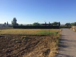 Terreno rural en Molina de Segura zona Ribera de molina. photo 0