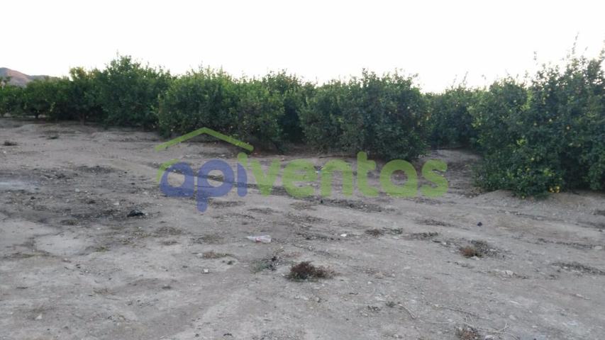 Parcela para construcción de Vivienda. photo 0