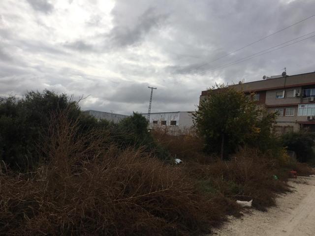 PARCELA EN LAS TORRES DE COTILLAS photo 0