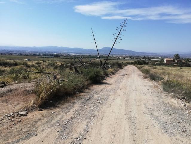 Terreno camino La Torre, junto autovía Lorca photo 0