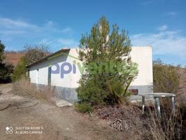 Casa con Terreno, Paraje Torrecilla Lorca. photo 0