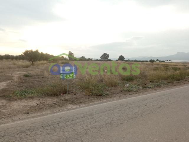 Parcela en Marchena photo 0