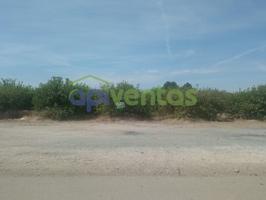 Parcela par edificar, plantada de Limoneros. photo 0