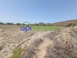 Terreno de regadío, cultivo. Puerto Lumbreras. photo 0