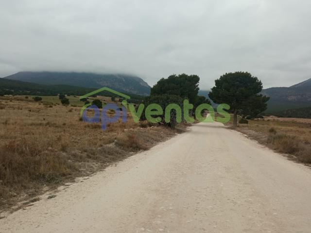 Terreno rustico, La Parroquia, (Aguica) photo 0