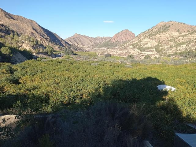 VENTA TERRENO RURAL EN PUERTO EL GARRUCHAL photo 0