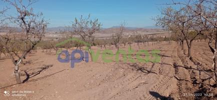 Terreno de regadío, La Escarihuela photo 0